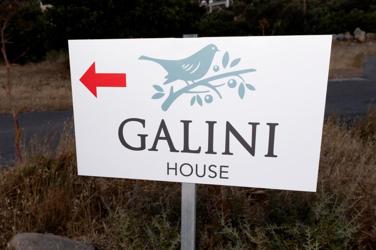 Galini House Villa Триопетра Екстериор снимка